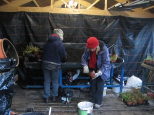Norma and Chris working in the potting shed