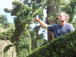 James Dorrian shaping Mount Stewart's topiary